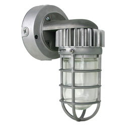 TLED804 Series Die-cast Globe Vaportight, 19W, 670 Lumens