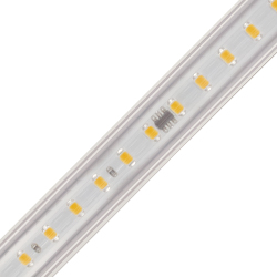 RFX120 Series 120V LED Ribbon Flex